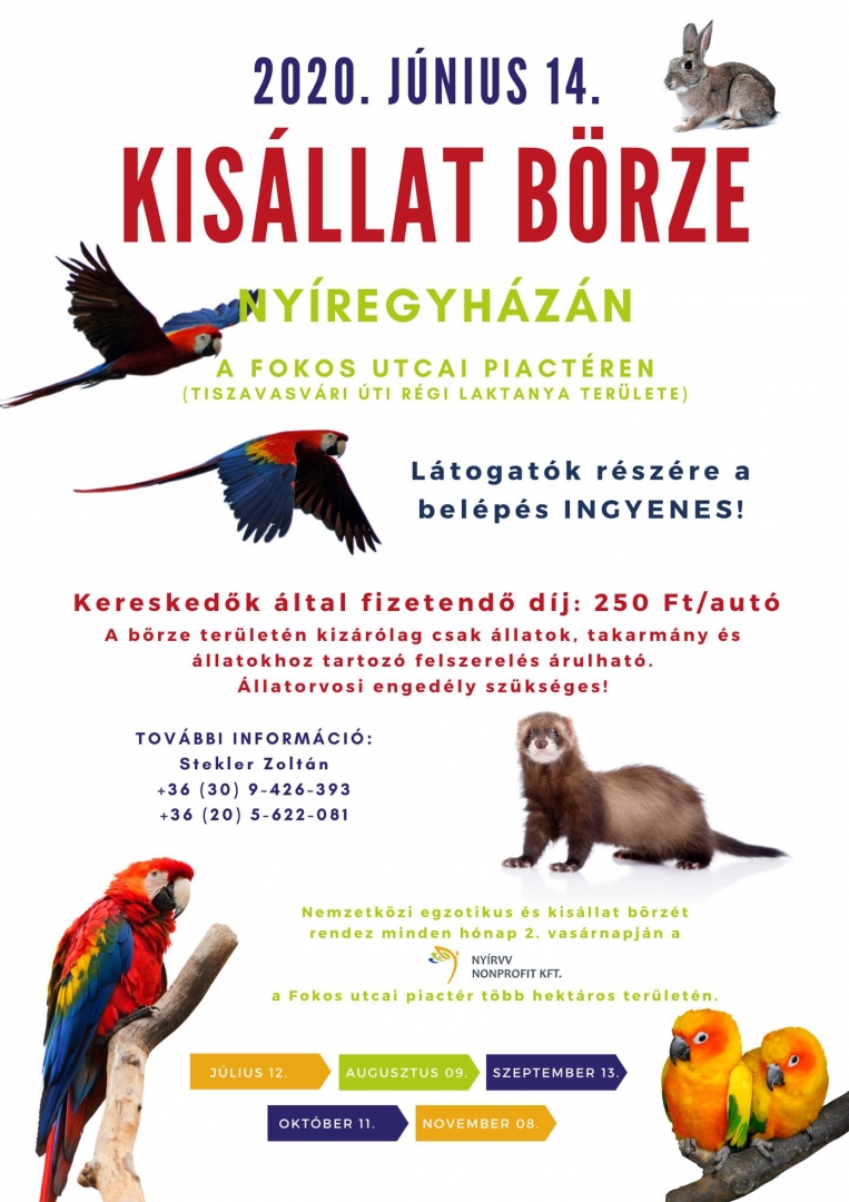 Kisállatbörze