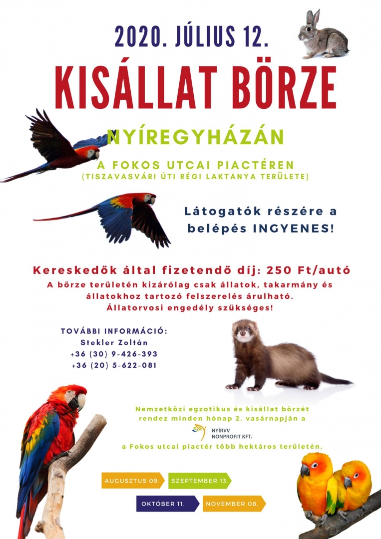 Kisállatbörze Nyíregyházán