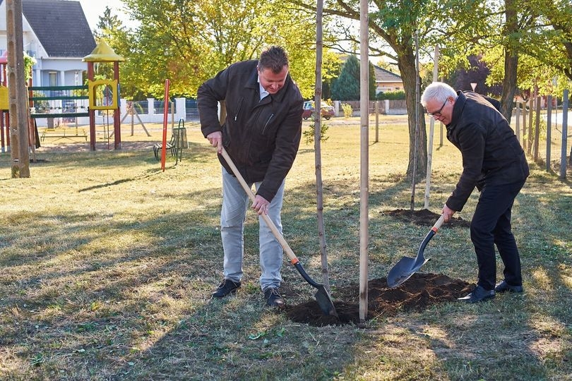 Folytatódik a fásítási program