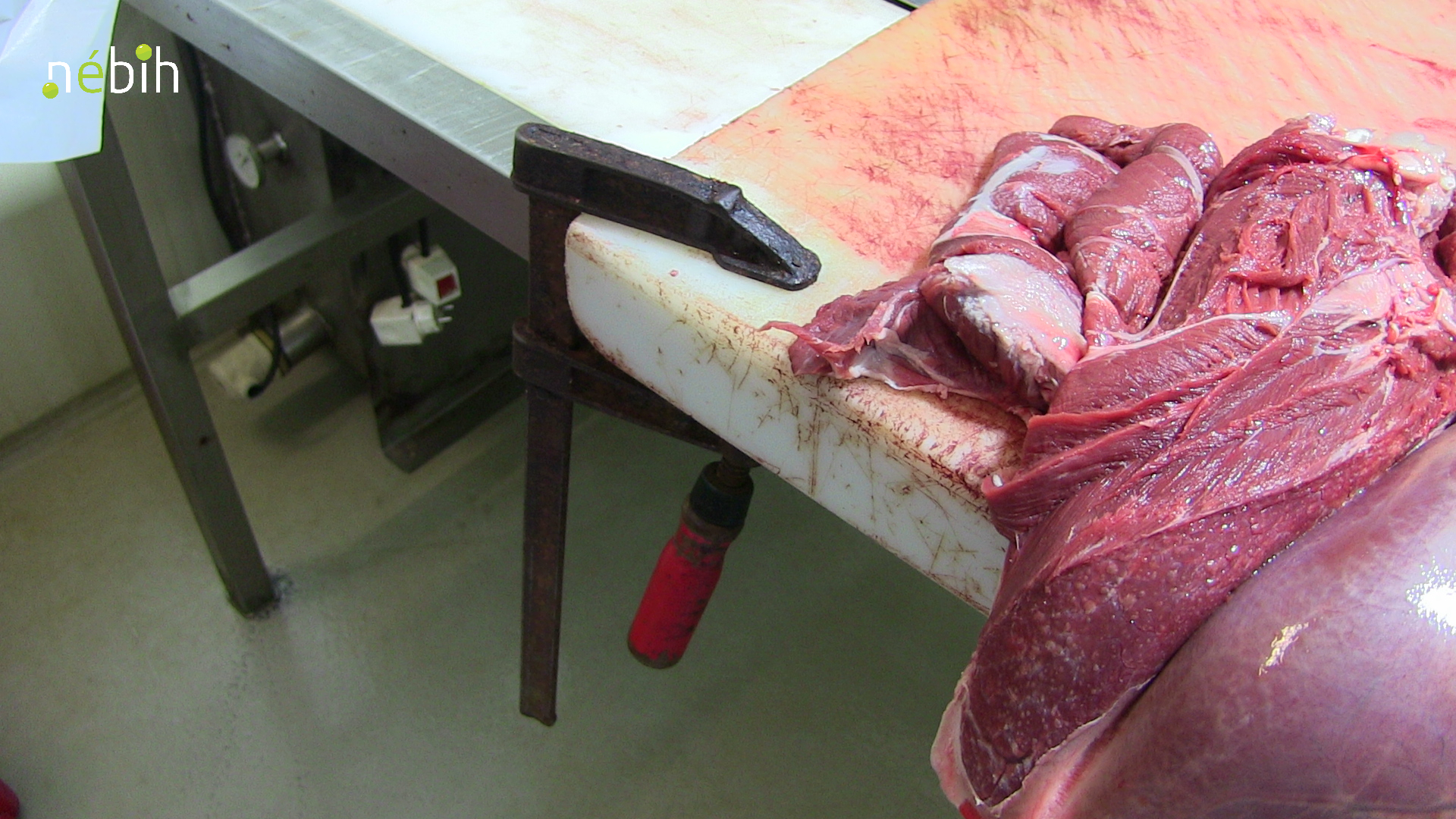 Azonnal felfüggesztette egy vadfeldolgozó üzem működését a Nébih 