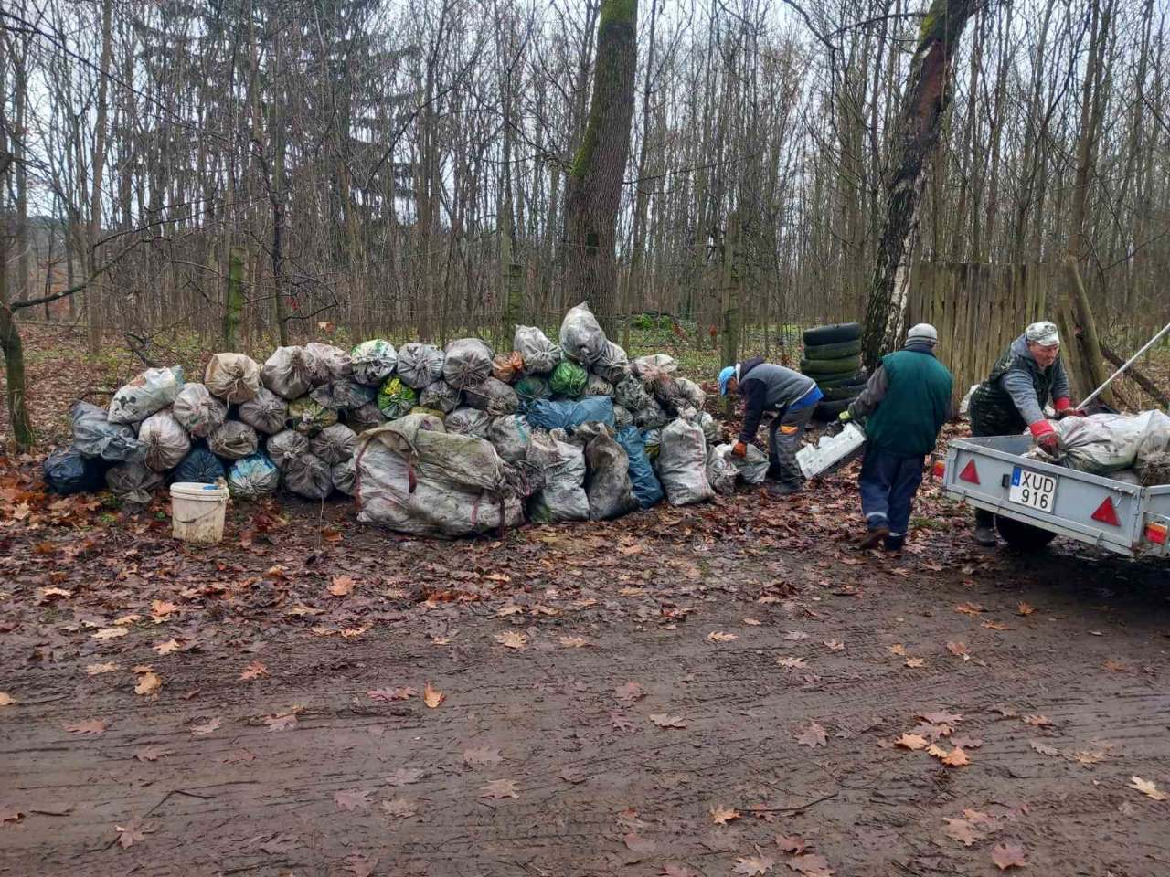 Nagy mennyiségű hulladék az erdőben