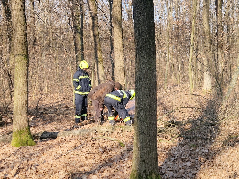 Együttműködés az erdészekkel