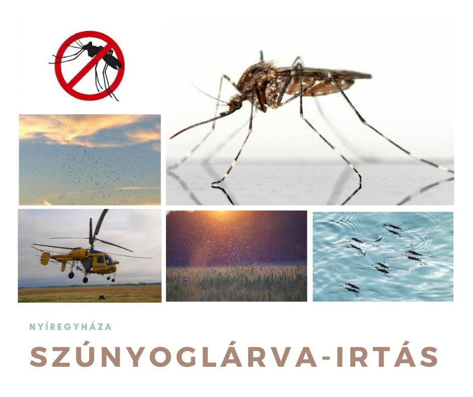 Felveszik a harcot a vérszívókkal Nyíregyházán