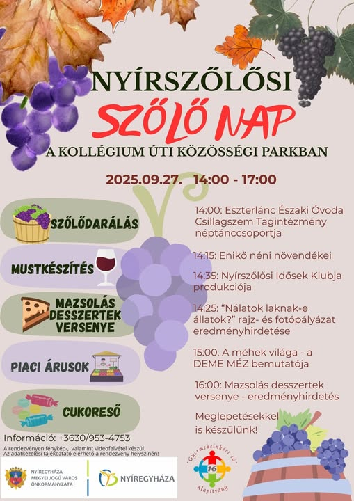 Nyírszőlősi szőlő nap