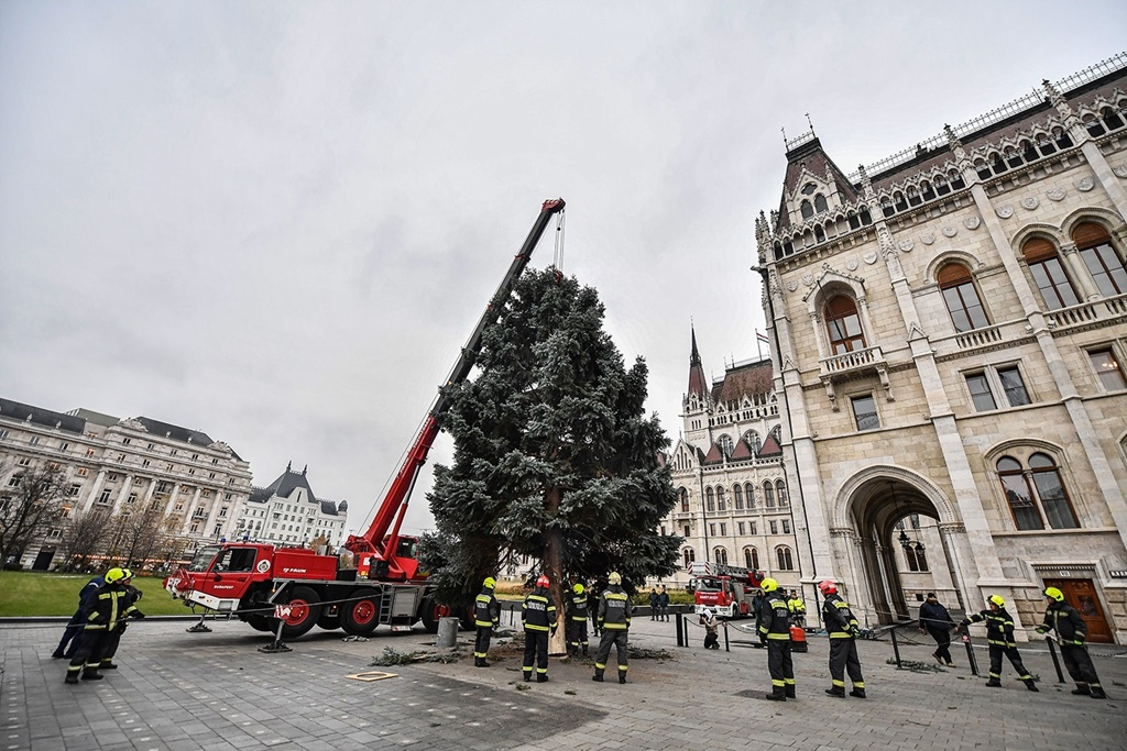 Ibrányból az Országházhoz - Megérkezett az ország karácsonyfája