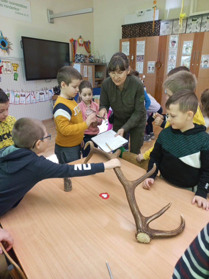 Több mint 11 ezer látogató a nyíregyházi erdei iskolában
