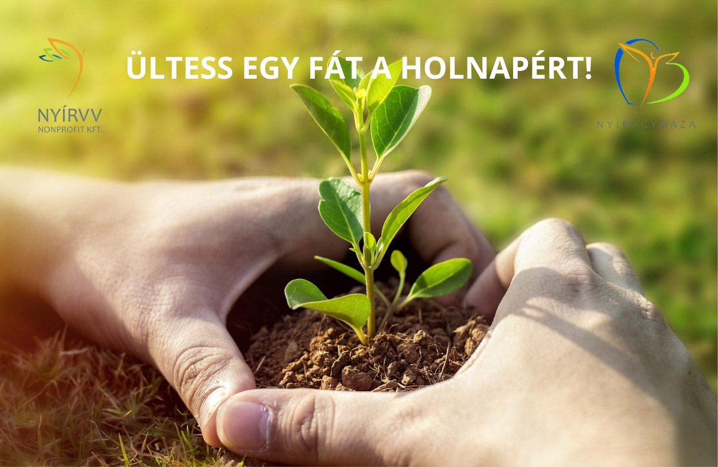 Ültess egy fát a holnapért!