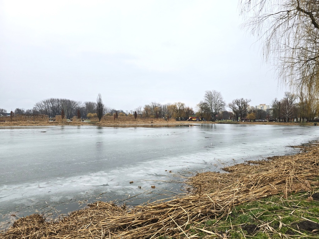 Megkezdődött a nádvágás a Bujtoson
