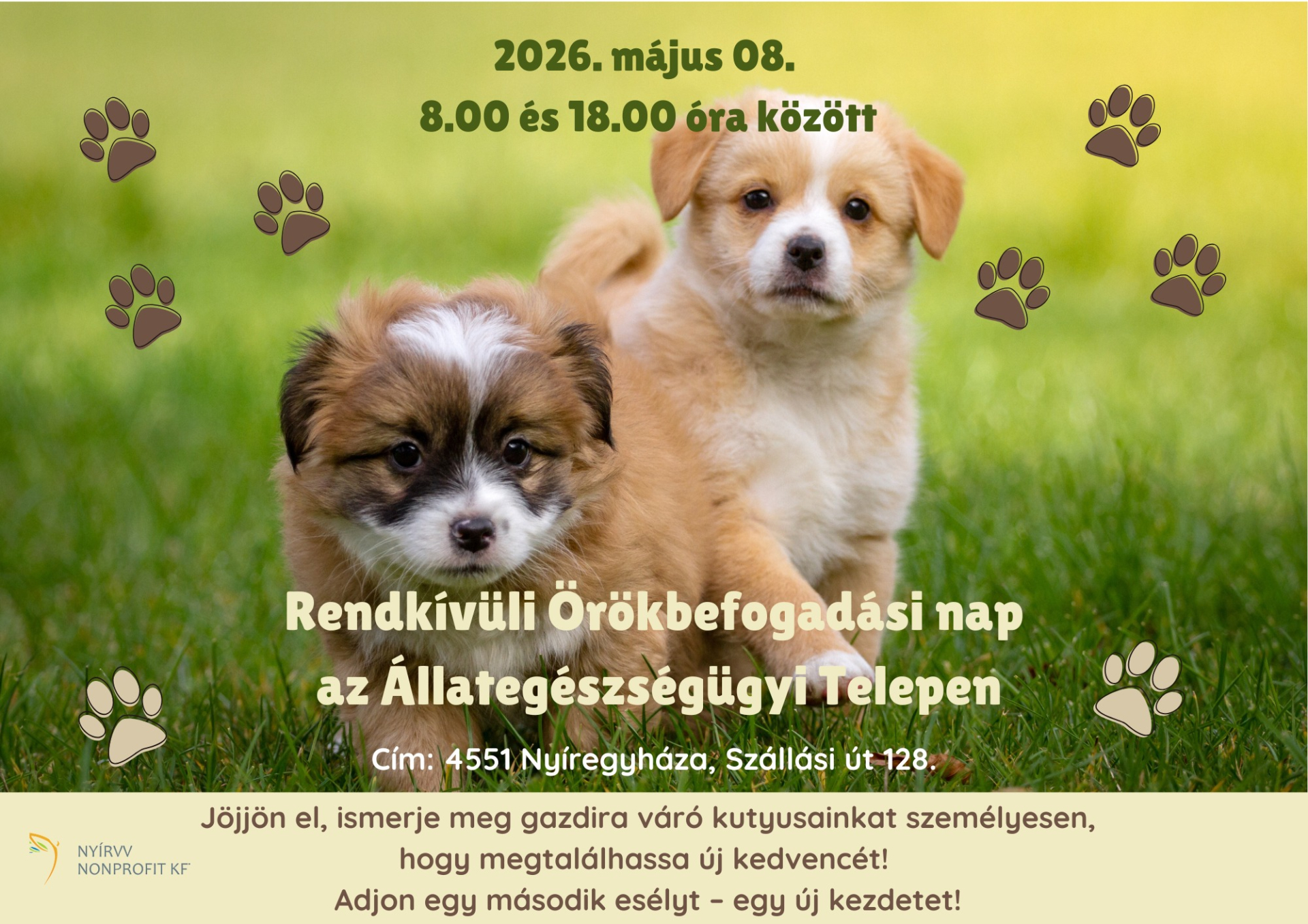 Rendkívüli örökbefogadási nap