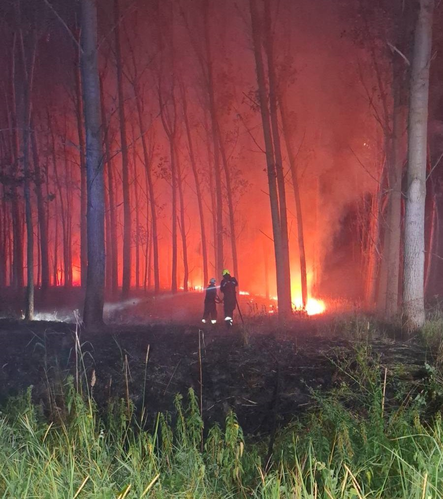 Hatalmas területen pusztítottak idén a lángok