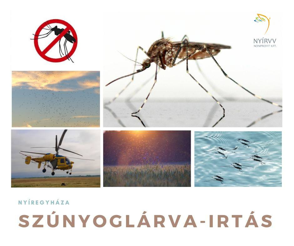 Felveszik a harcot a szúnyogok ellen Nyíregyházán is