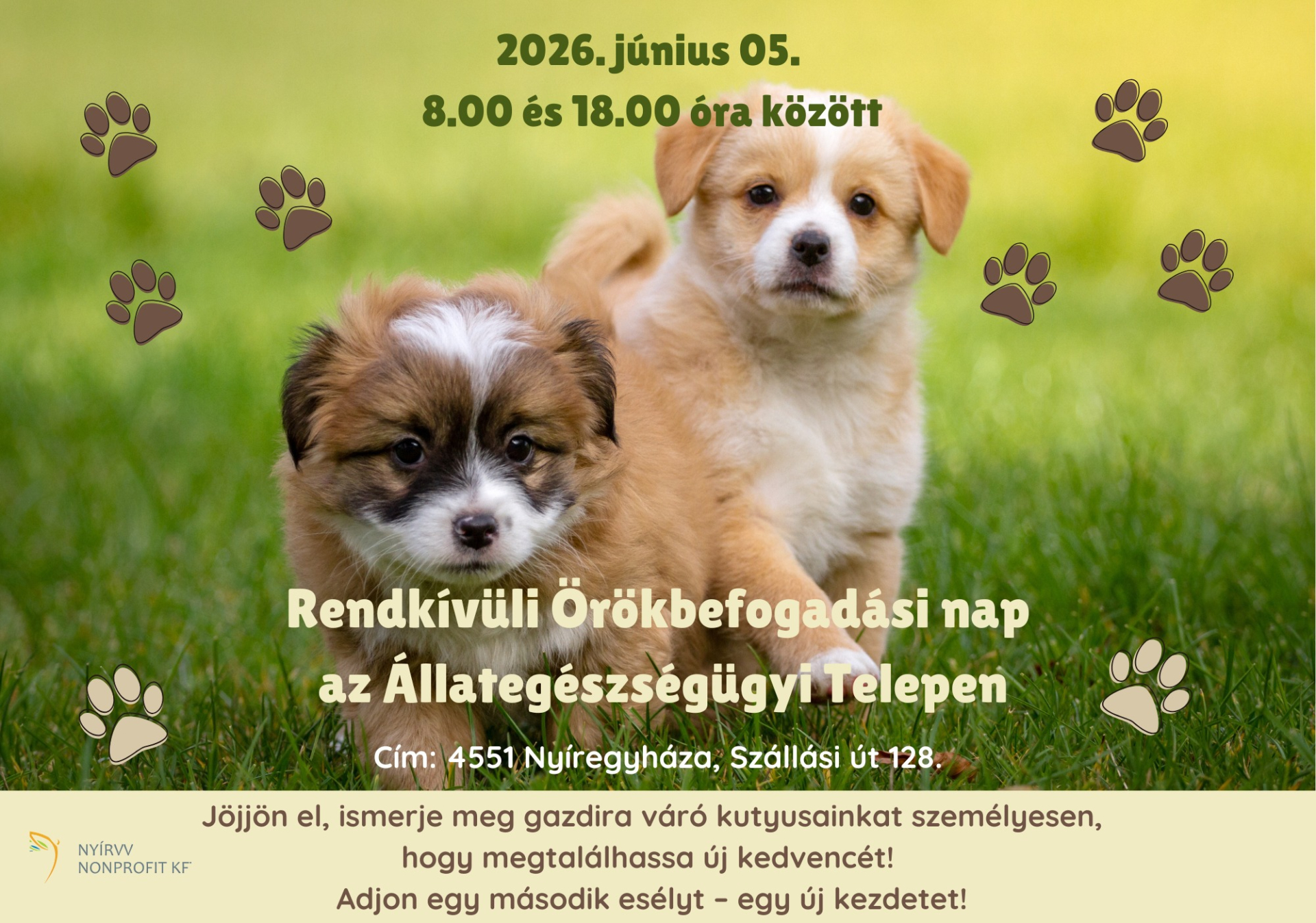 Rendkívüli örökbefogadási nap