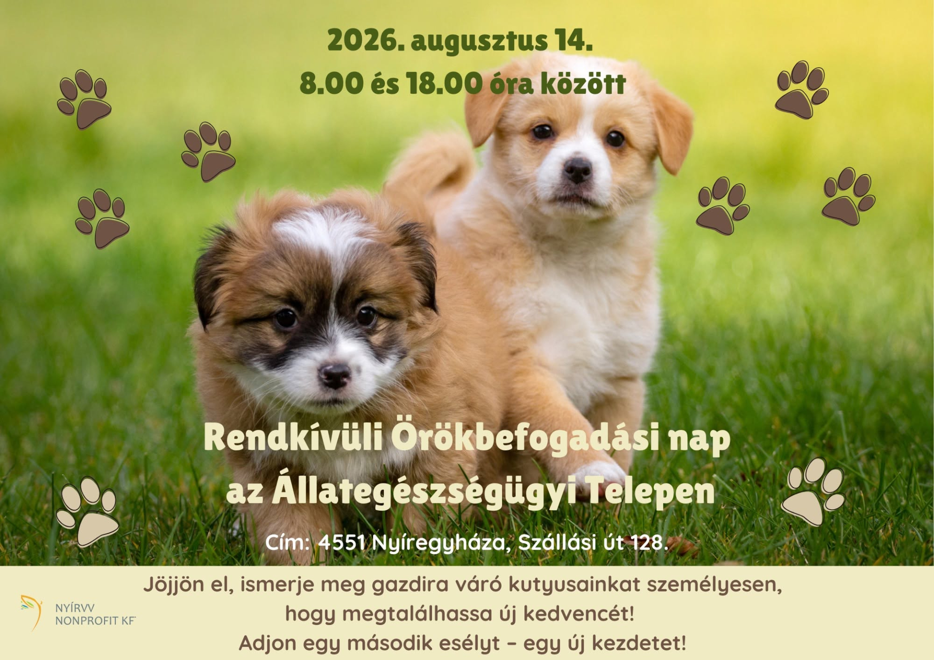 Rendkívüli örökbefogadási nap