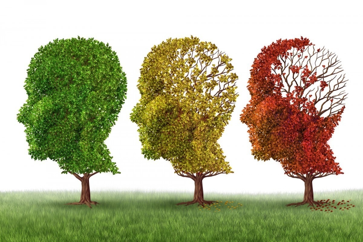 Alzheimer Café Nyíregyházán