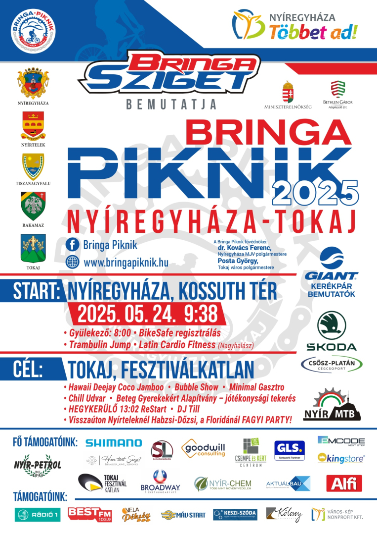 Bringa Piknik