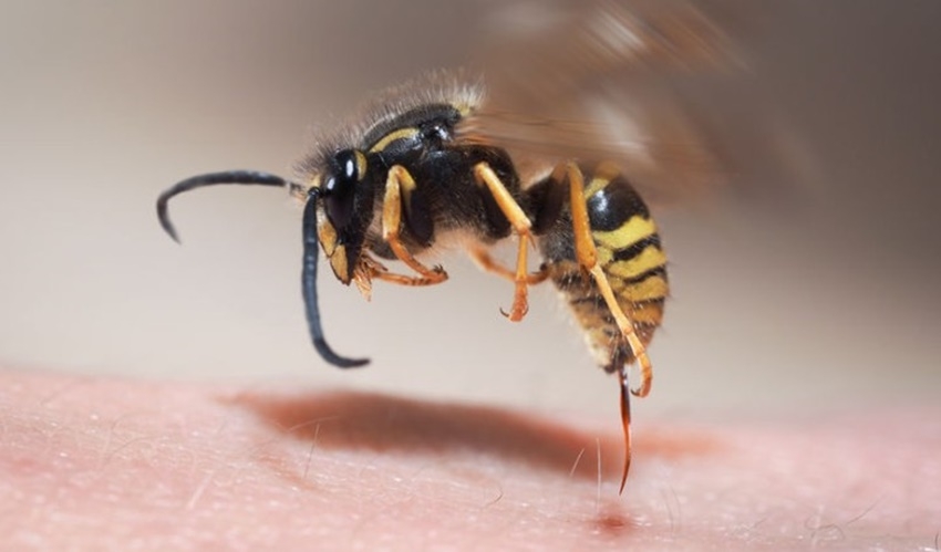 Nem jó a kalcium az allergiás tünetekre