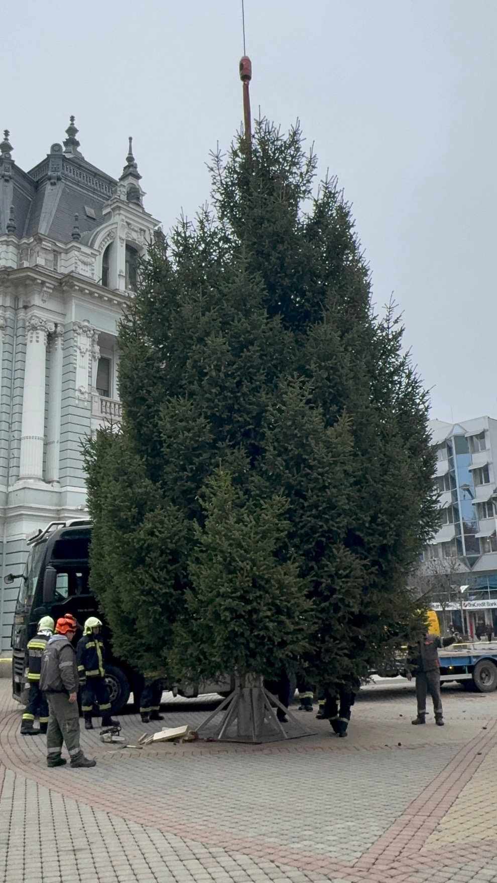 Megérkezett a város karácsonyfája