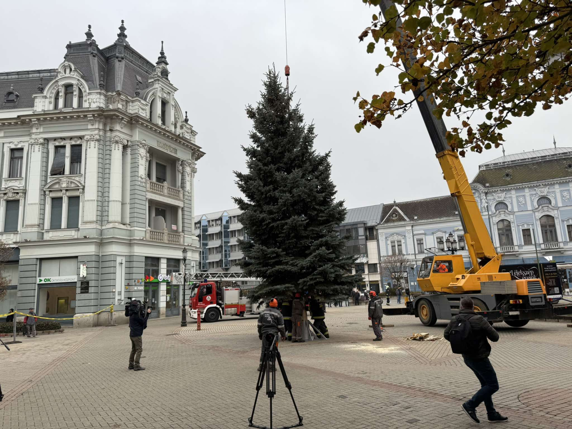 Megérkezett a város karácsonyfája