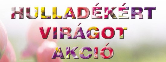 Indul a Hulladékért virágot akció