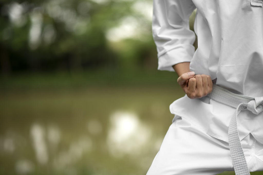Ingyenes kung-fu bemutató