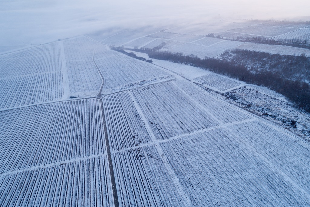 A mezőgazdaságban jól jött a hó és a hideg