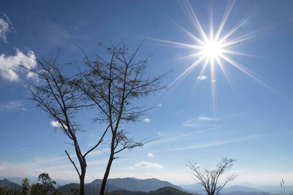 Enyhe és átlagosan csapadékos volt a február