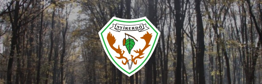 Szavalóversenyt hirdet az erdészeti iskola