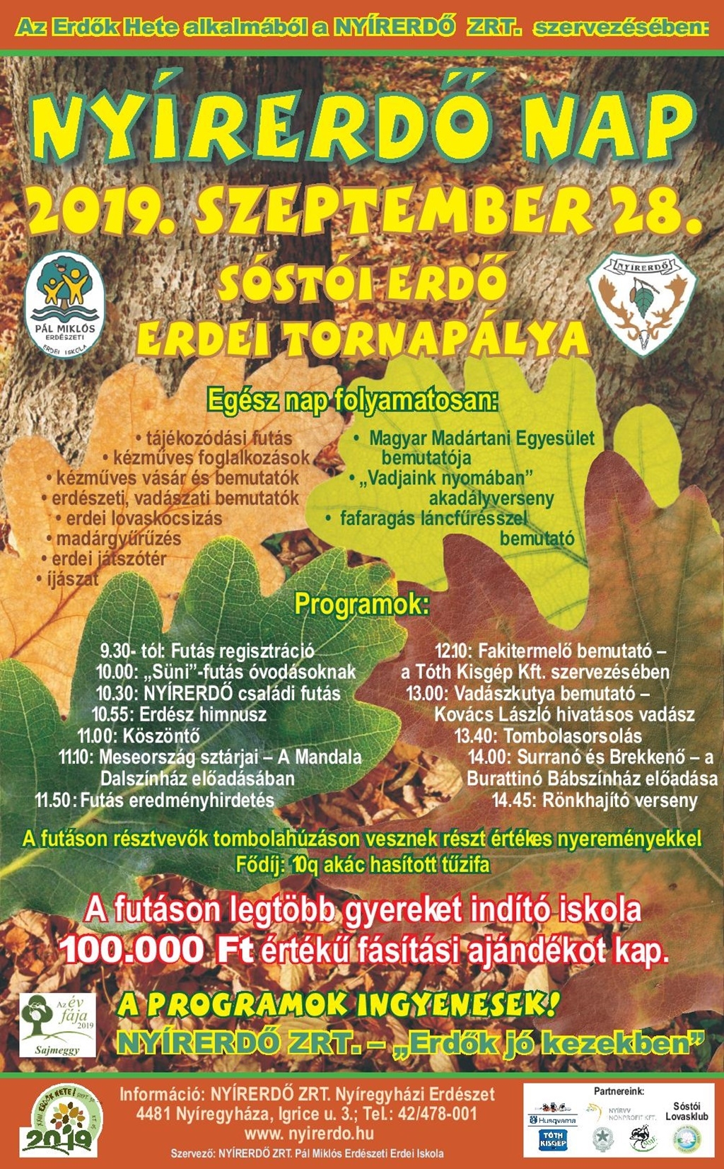 Erdők hete a Nyírerdőnél