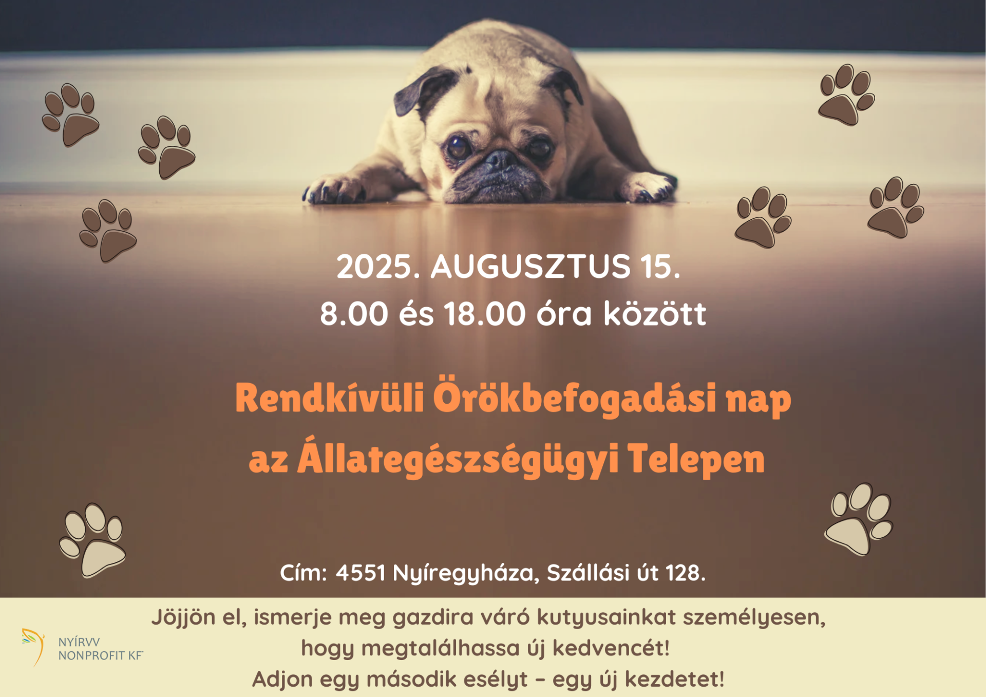 Rendkívüli örökbefogadási nap