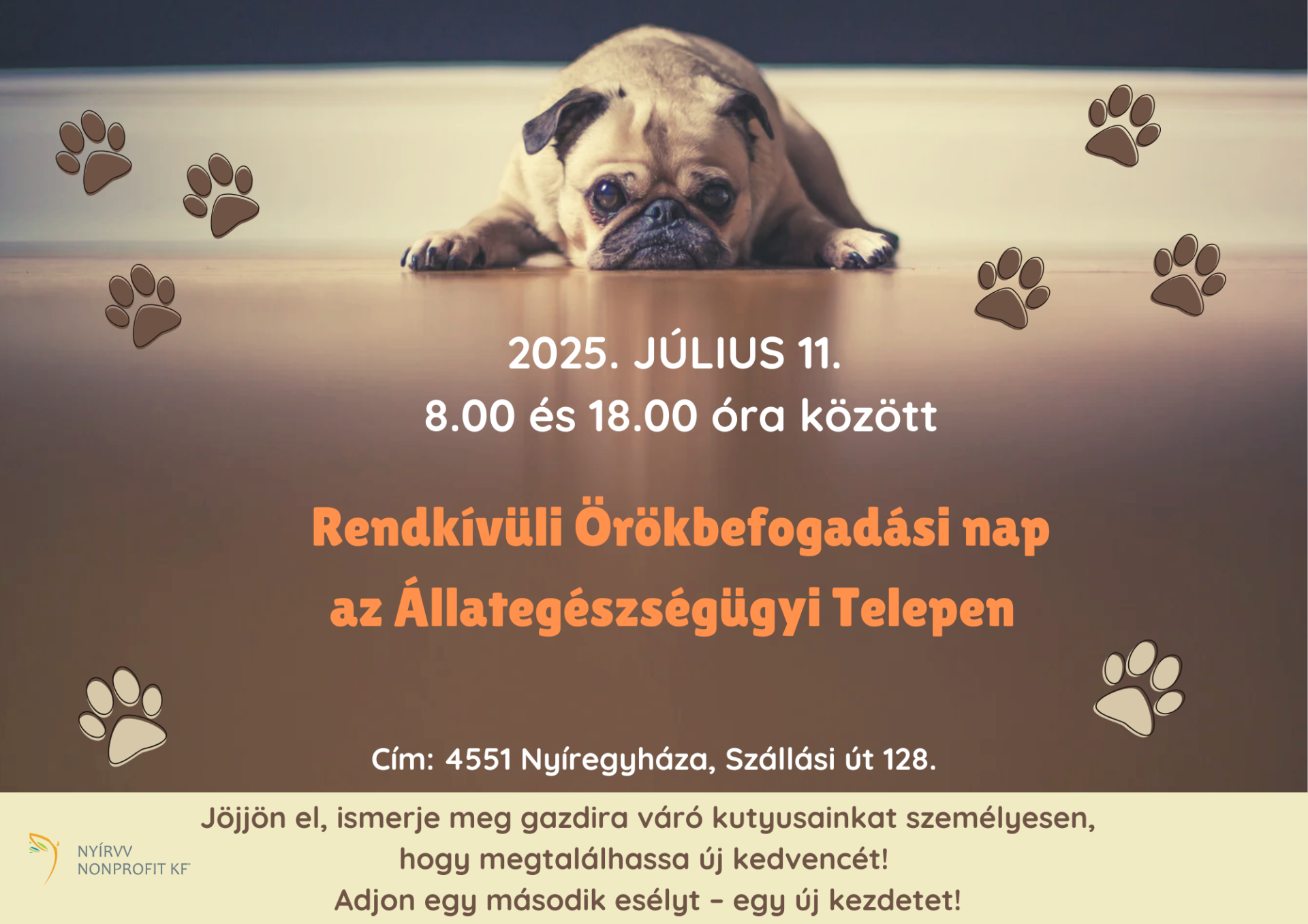 Rendkívüli örökbefogadási nap