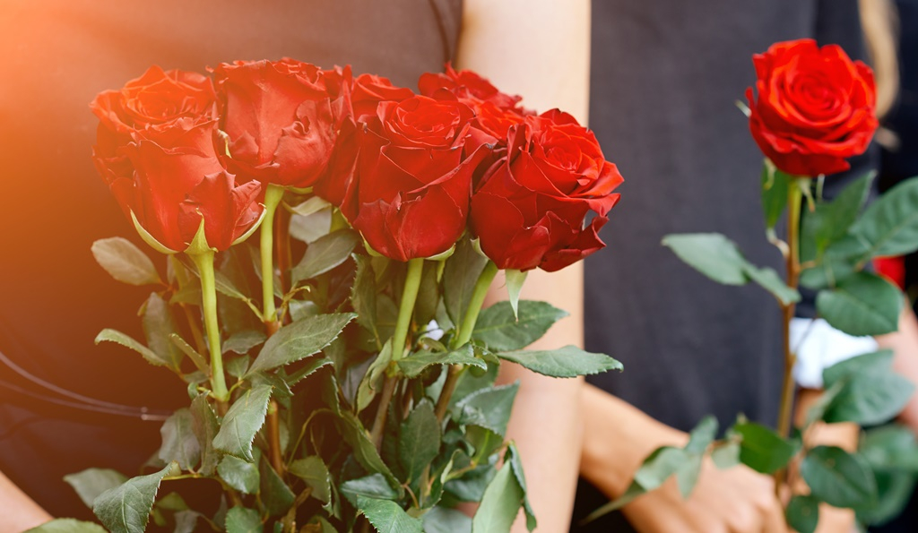 Akcióban a revizorok