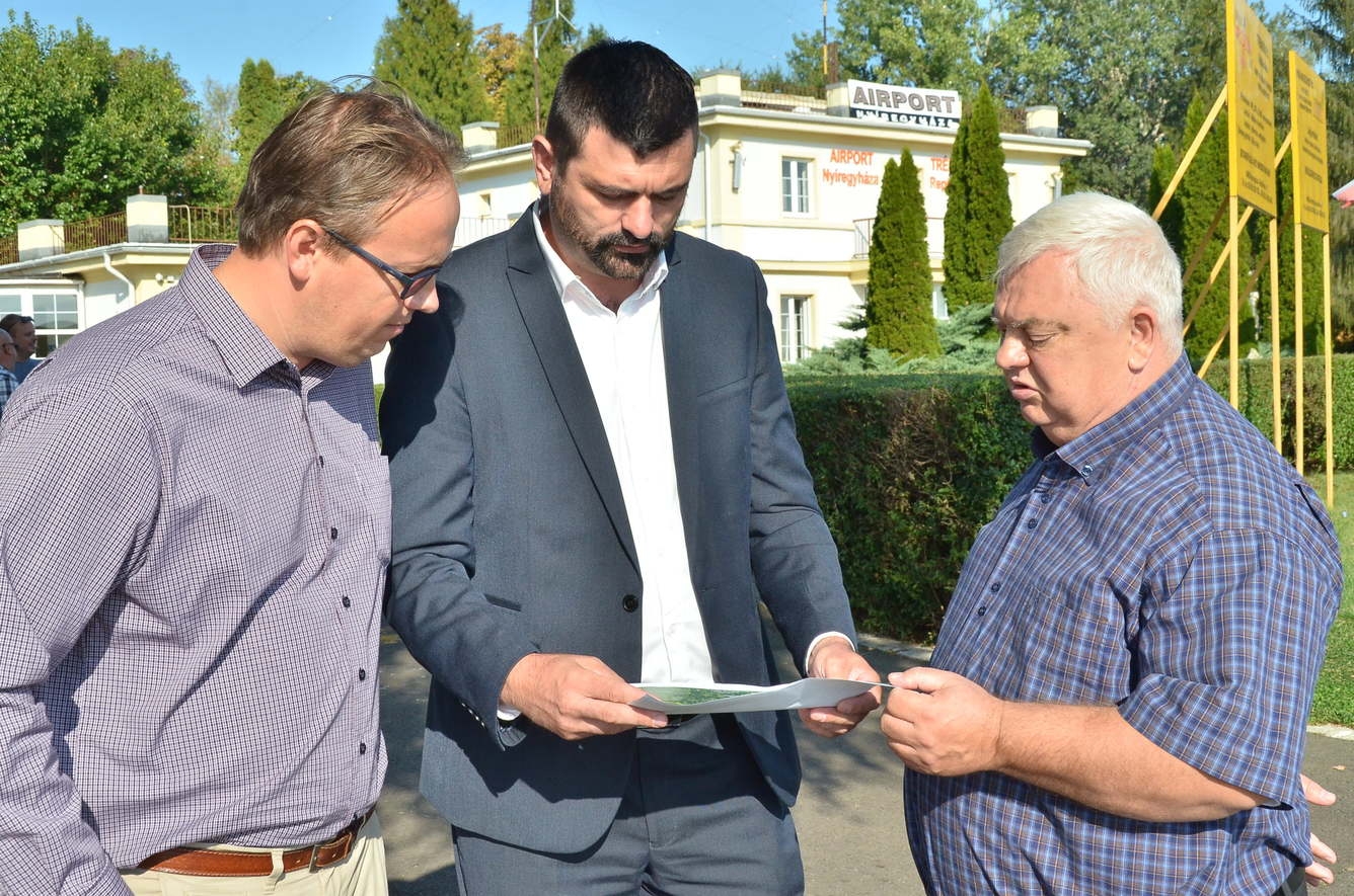 Parlagfű - Idén kevesebb a fertőzött terület
