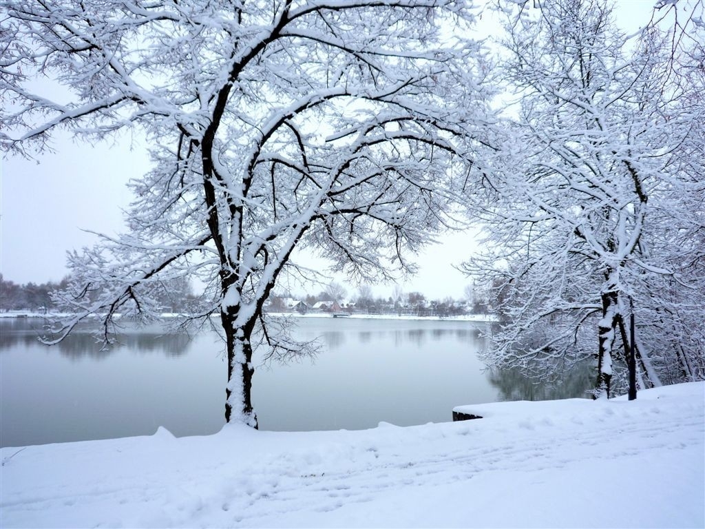 Adventi séta a Sóstói erdőben