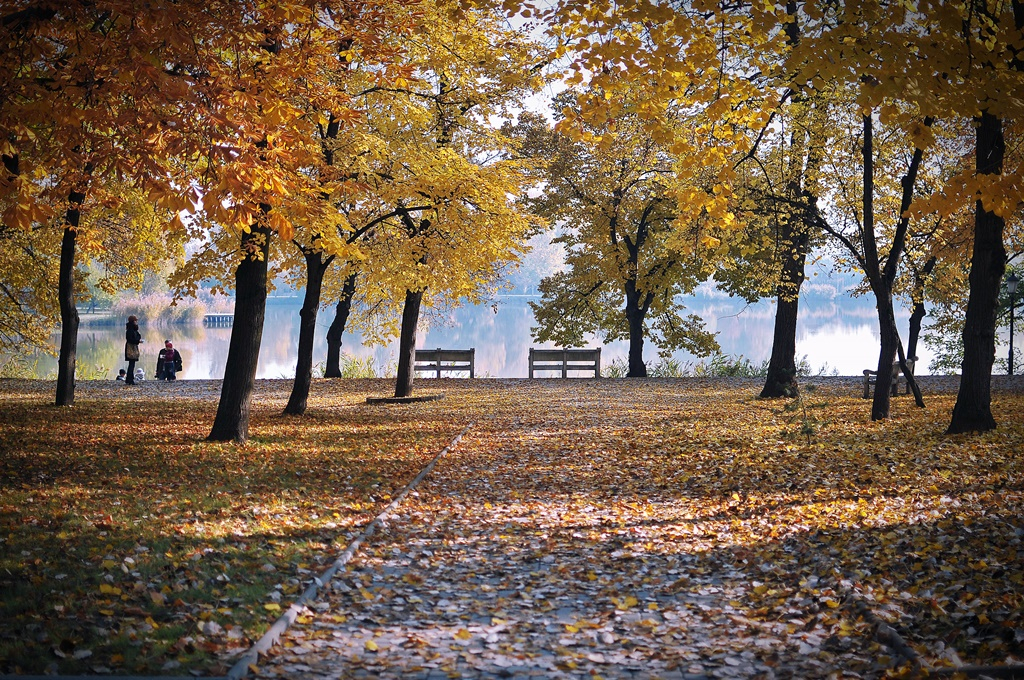 Népszerű úti cél volt Nyíregyháza 