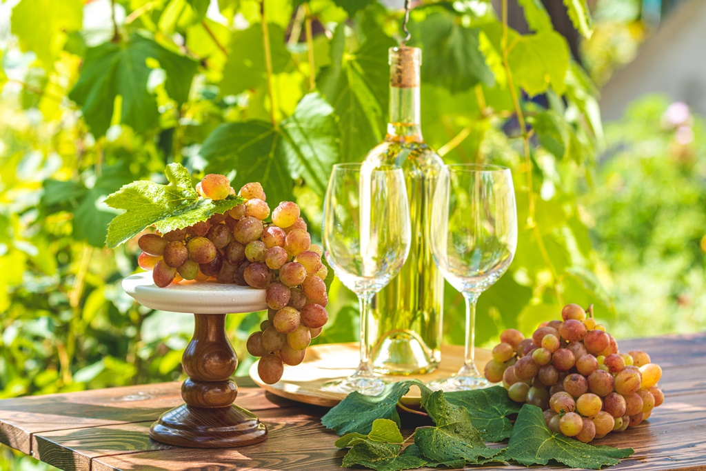 Korábban kezdődött a szüret Tokaj-Hegyalján