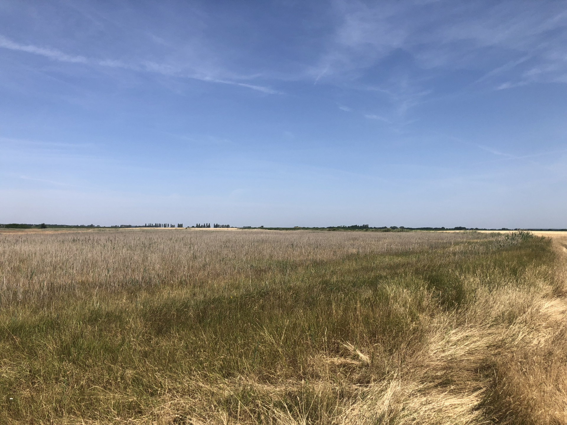 Természet és tudomány