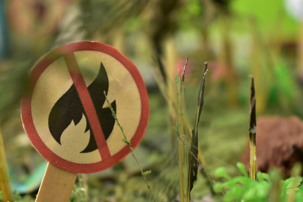 Újabb vármegyékben tilos a tűzgyújtás