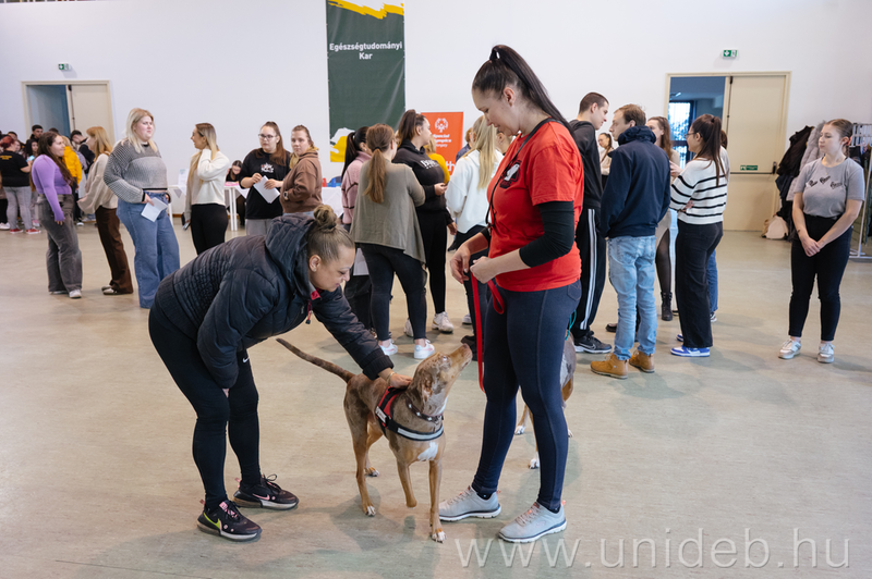 Érzékenyítő sportnap az Egészségtudományi Karon