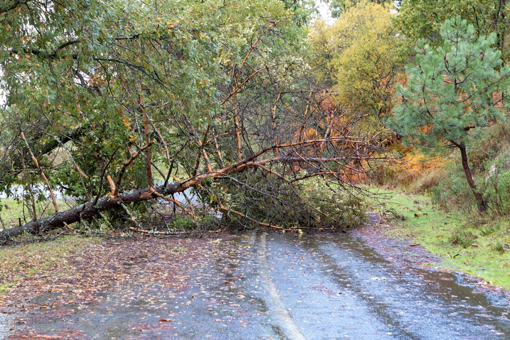 Vasárnap viharos szél érte el Szabolcs-Szatmár-Bereg vármegyét is